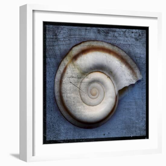 Snail-John W Golden-Framed Giclee Print