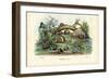 Snails, 1863-79-Raimundo Petraroja-Framed Giclee Print