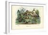 Snails, 1863-79-Raimundo Petraroja-Framed Giclee Print