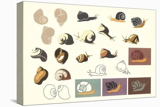 Snails and More Snails-null-Stretched Canvas