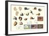 Snails and More Snails-null-Framed Art Print