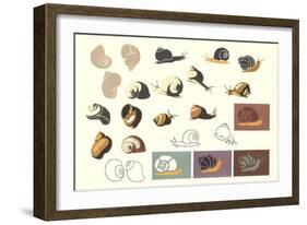 Snails and More Snails-null-Framed Art Print