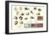 Snails and More Snails-null-Framed Art Print