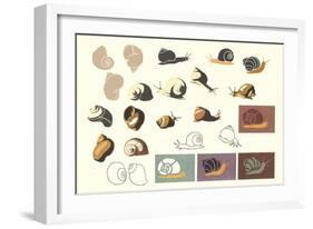 Snails and More Snails-null-Framed Art Print