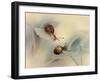 Snails-Ellen Van-Framed Photographic Print