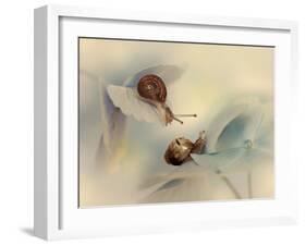 Snails-Ellen Van-Framed Photographic Print