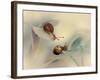 Snails-Ellen Van-Framed Photographic Print