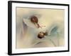 Snails-Ellen Van-Framed Photographic Print