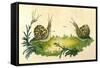 Snails-Frederick P. Nodder-Framed Stretched Canvas