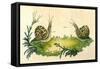 Snails-Frederick P. Nodder-Framed Stretched Canvas