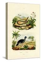 Snake, 1833-39-null-Stretched Canvas