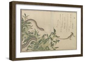 Snake and Lizard, 1788-Kitagawa Utamaro-Framed Giclee Print