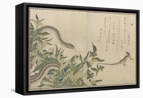 Snake and Lizard, 1788-Kitagawa Utamaro-Framed Stretched Canvas