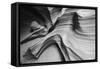 Snake Canyon-Moises Levy-Framed Stretched Canvas