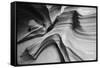 Snake Canyon-Moises Levy-Framed Stretched Canvas