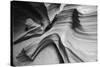 Snake Canyon-Moises Levy-Stretched Canvas