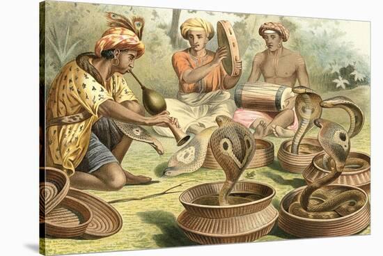 Snake Charmers and Cobras-null-Stretched Canvas