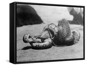 Snake Killing a Mongoose-null-Framed Stretched Canvas