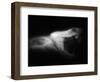 Snake Opening Mouth-Henry Horenstein-Framed Photographic Print