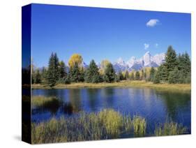 Snake River and Autumn Woodland, with Grand Tetons Behind, Grand Teton National Park, Wyoming, USA-Pete Cairns-Stretched Canvas
