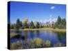 Snake River and Autumn Woodland, with Grand Tetons Behind, Grand Teton National Park, Wyoming, USA-Pete Cairns-Stretched Canvas