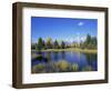 Snake River and Autumn Woodland, with Grand Tetons Behind, Grand Teton National Park, Wyoming, USA-Pete Cairns-Framed Premium Photographic Print