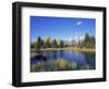 Snake River and Autumn Woodland, with Grand Tetons Behind, Grand Teton National Park, Wyoming, USA-Pete Cairns-Framed Premium Photographic Print