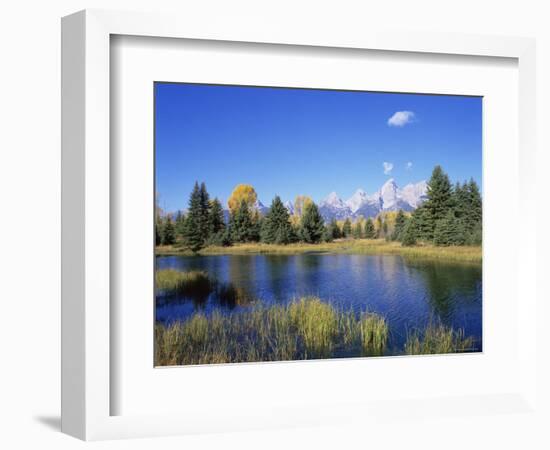 Snake River and Autumn Woodland, with Grand Tetons Behind, Grand Teton National Park, Wyoming, USA-Pete Cairns-Framed Premium Photographic Print