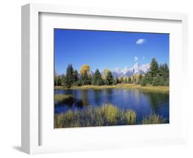 Snake River and Autumn Woodland, with Grand Tetons Behind, Grand Teton National Park, Wyoming, USA-Pete Cairns-Framed Premium Photographic Print