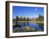 Snake River and Autumn Woodland, with Grand Tetons Behind, Grand Teton National Park, Wyoming, USA-Pete Cairns-Framed Premium Photographic Print