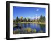 Snake River and Autumn Woodland, with Grand Tetons Behind, Grand Teton National Park, Wyoming, USA-Pete Cairns-Framed Premium Photographic Print