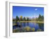 Snake River and Autumn Woodland, with Grand Tetons Behind, Grand Teton National Park, Wyoming, USA-Pete Cairns-Framed Premium Photographic Print