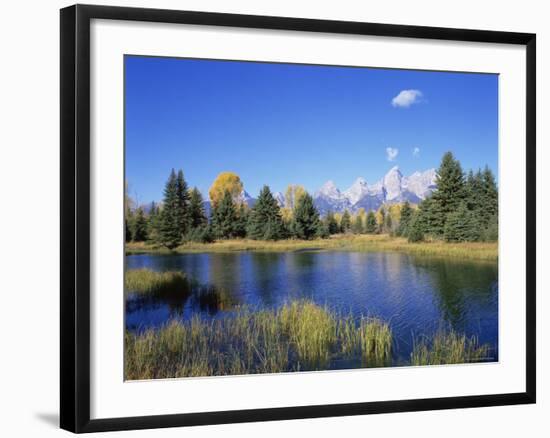 Snake River and Autumn Woodland, with Grand Tetons Behind, Grand Teton National Park, Wyoming, USA-Pete Cairns-Framed Photographic Print