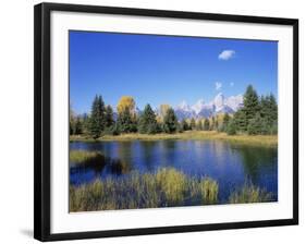 Snake River and Autumn Woodland, with Grand Tetons Behind, Grand Teton National Park, Wyoming, USA-Pete Cairns-Framed Photographic Print