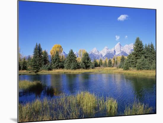 Snake River and Autumn Woodland, with Grand Tetons Behind, Grand Teton National Park, Wyoming, USA-Pete Cairns-Mounted Photographic Print