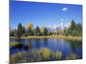 Snake River and Autumn Woodland, with Grand Tetons Behind, Grand Teton National Park, Wyoming, USA-Pete Cairns-Mounted Photographic Print