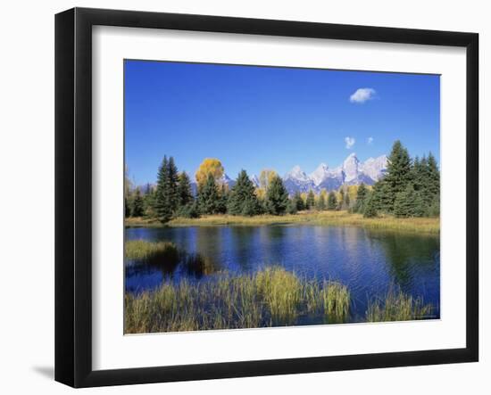 Snake River and Autumn Woodland, with Grand Tetons Behind, Grand Teton National Park, Wyoming, USA-Pete Cairns-Framed Photographic Print