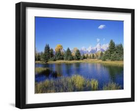 Snake River and Autumn Woodland, with Grand Tetons Behind, Grand Teton National Park, Wyoming, USA-Pete Cairns-Framed Photographic Print