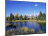 Snake River and Autumn Woodland, with Grand Tetons Behind, Grand Teton National Park, Wyoming, USA-Pete Cairns-Mounted Photographic Print