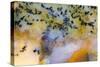 Snake River Dendritic Agate-Darrell Gulin-Stretched Canvas