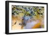 Snake River Dendritic Agate-Darrell Gulin-Framed Photographic Print