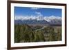 Snake River Overlook-Galloimages Online-Framed Photographic Print