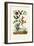 Snake's Head Fritillary, 1833-39-null-Framed Giclee Print