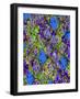 Snake Skin III-Nicholas Biscardi-Framed Art Print