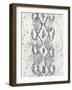 Snake Skin-Patricia Pinto-Framed Art Print