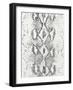 Snake Skin-Patricia Pinto-Framed Art Print