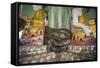 Snake Temple (Mwe Paya) Between Dalah and Twante, across the River from Yangon, Myanmar (Burma)-Matthew Williams-Ellis-Framed Stretched Canvas