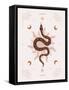 Snake Transform-Beth Cai-Framed Stretched Canvas