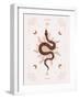 Snake Transform-Beth Cai-Framed Giclee Print