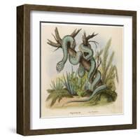 Snake, Trigonocephalus-null-Framed Art Print